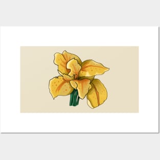 Yellow Iris Flower Posters and Art